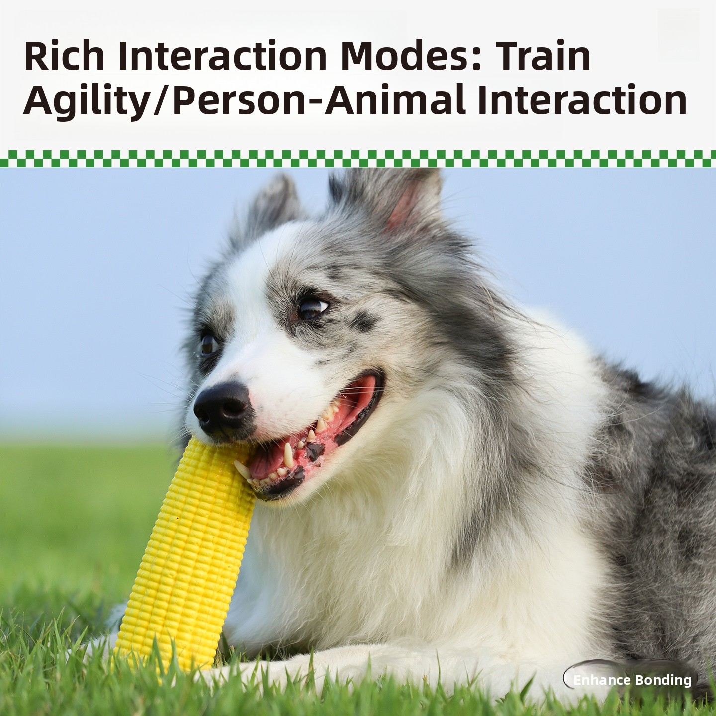 QZee Durable ETPU Corn Dog Toy - огляд і ціна Corn Dog Stick