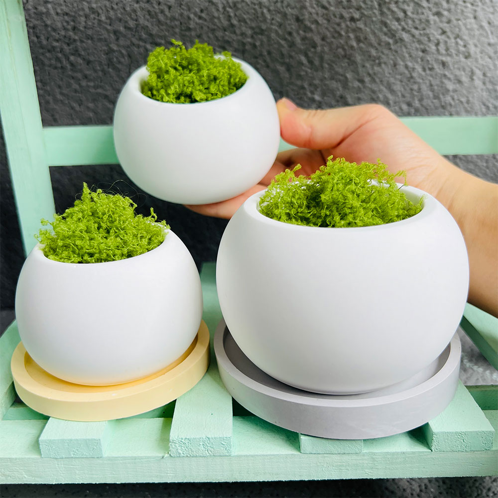 Spherical Flowerpot Silicone M - огляд і ціна Potsticker Mold