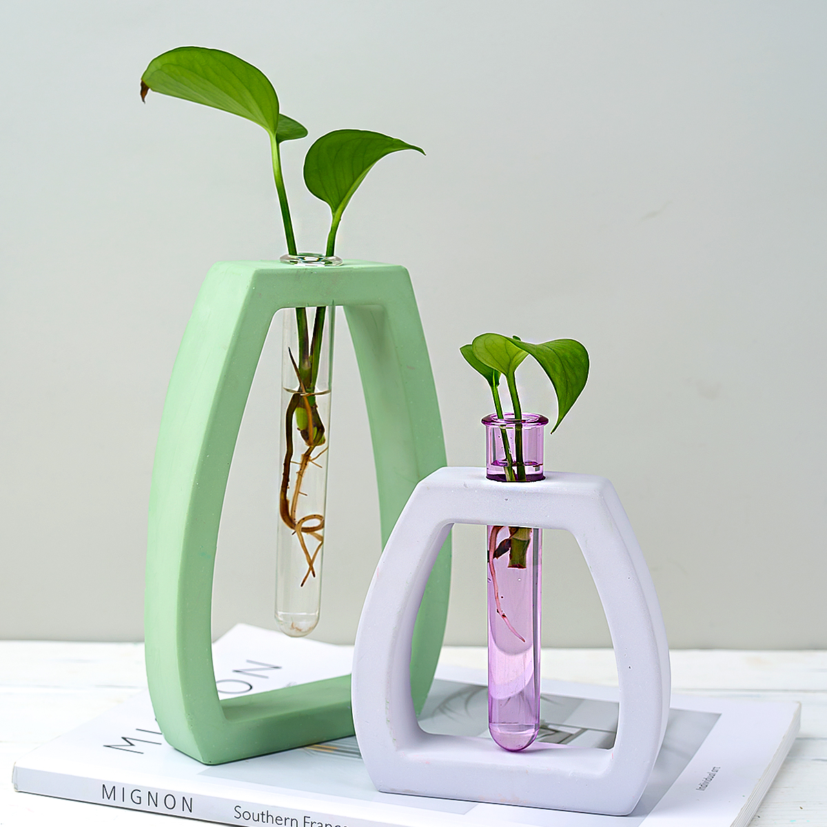 Hydroponic Test Tube Vase Sili - огляд і ціна Potsticker Mold