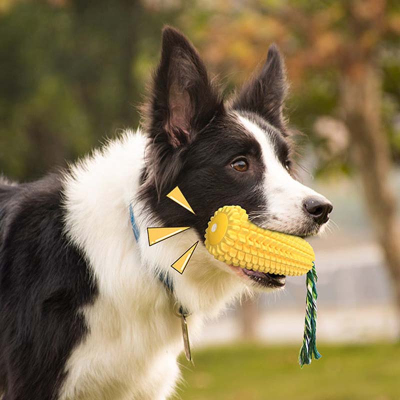 Hot Selling Large Size Corn Sh - огляд і ціна Corn Dog Stick